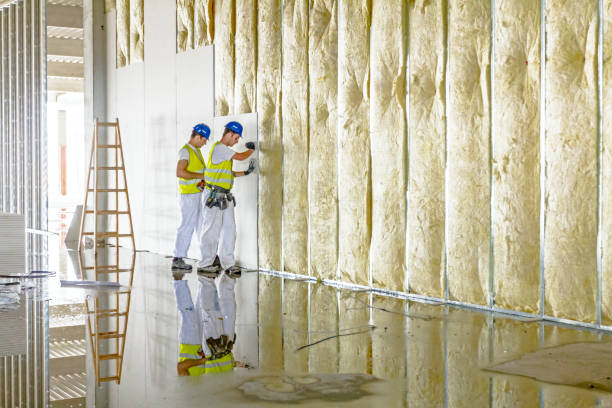 Best Insulation for Specific Applications in Woodbridge, CA